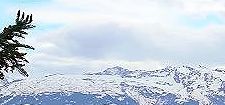 Prices in Liechtenstein